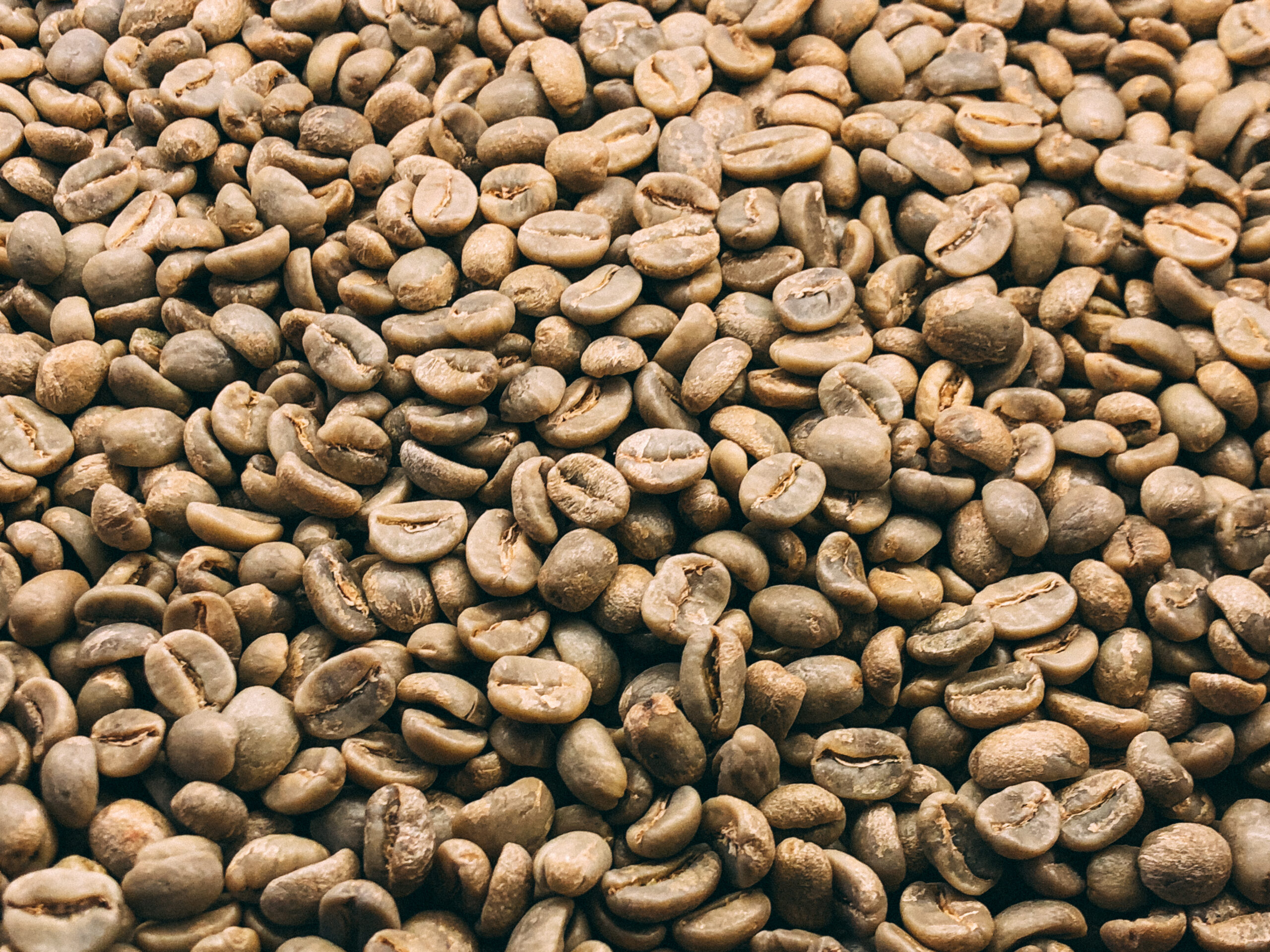 インドネシア発！希少で幻のコーヒー「コピ・ルアク」の歴史と製法の